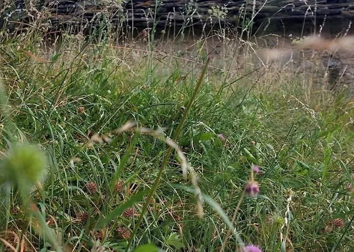 Family Friendly Radici Di * Duno